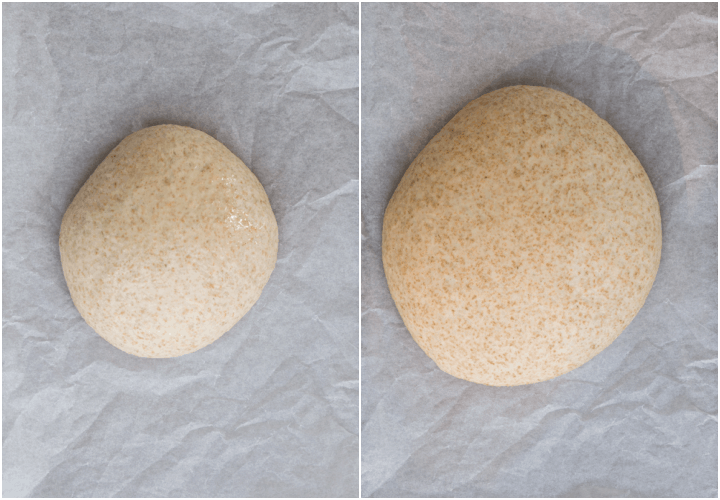 dough formed into a loaf before and after rising