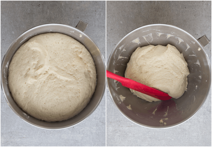 before and after the dough rises
