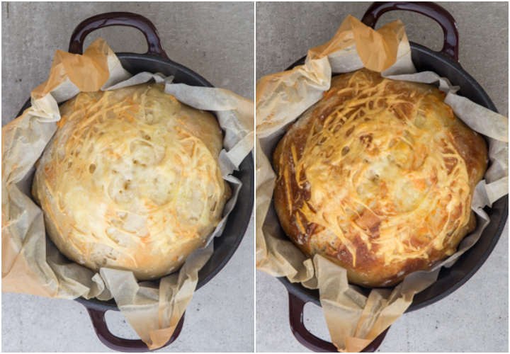 the bread in a dutch oven baked with lid then baked without the lid