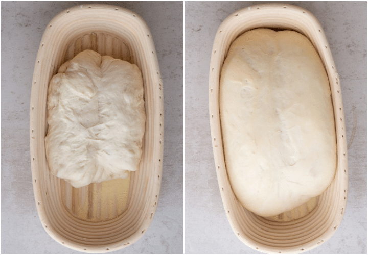 dough rising in a basket