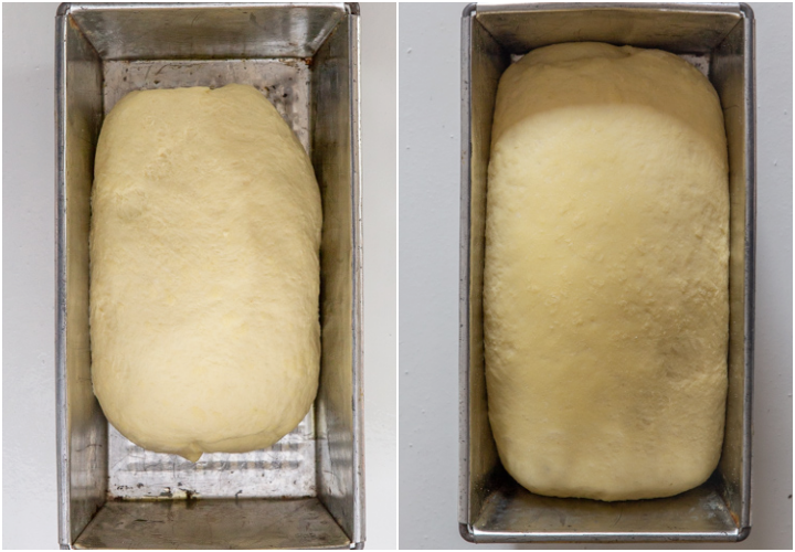 the before and after rising in a loaf pan