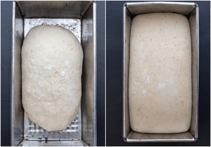 forming into a dough loaf and before and after rising