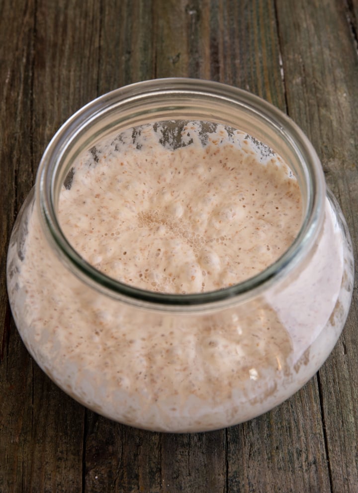 Easy Sourdough Starter with Yeast