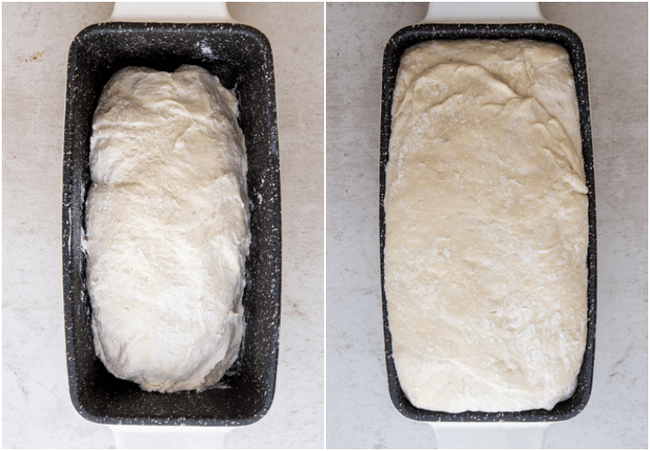 ricotta bread in loaf pan before and after rising