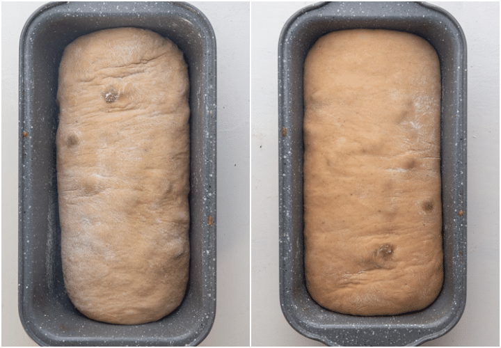 dough in the loaf pan before & after rising.