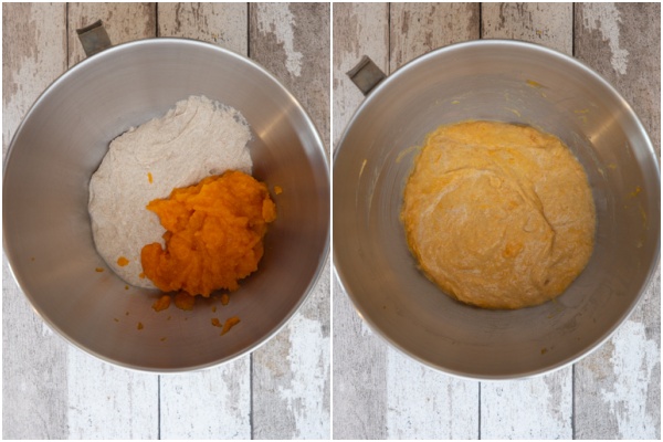 Biga and pumpkin puree in a mixing bowl & combined.