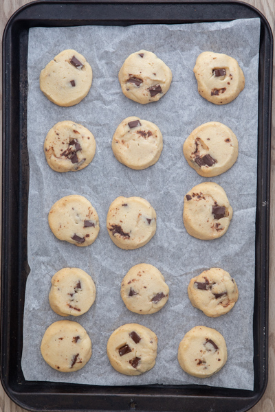 Chocolate Chip shortbread cookies baked. 