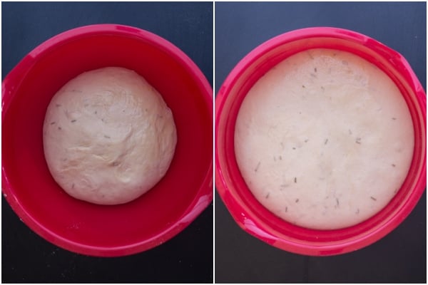 Dough before and after rising.