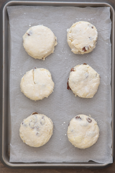 The biscuits before baking on a cookie sheet.