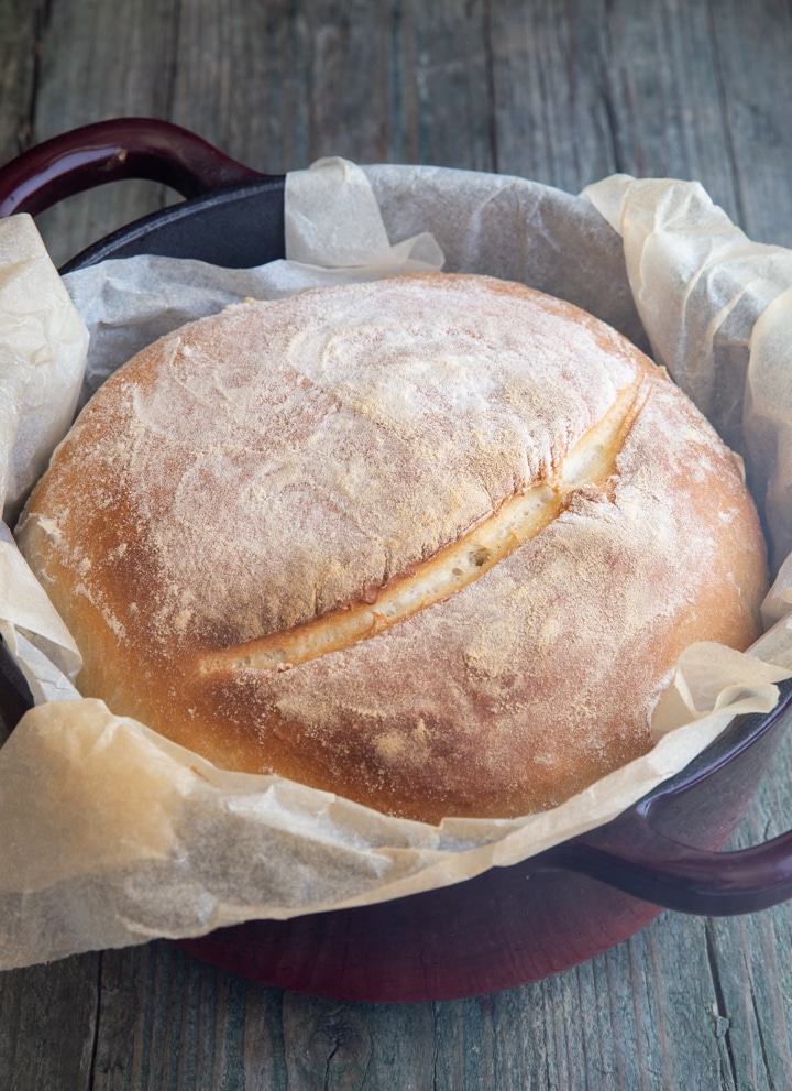 one hour bread in a red dutch oven.