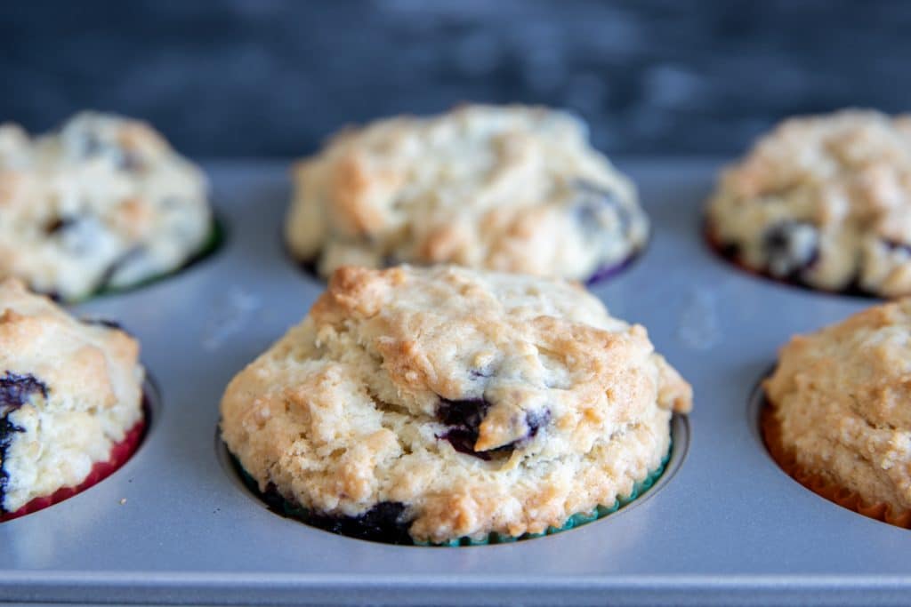 Blueberry muffins in the muffin tin.