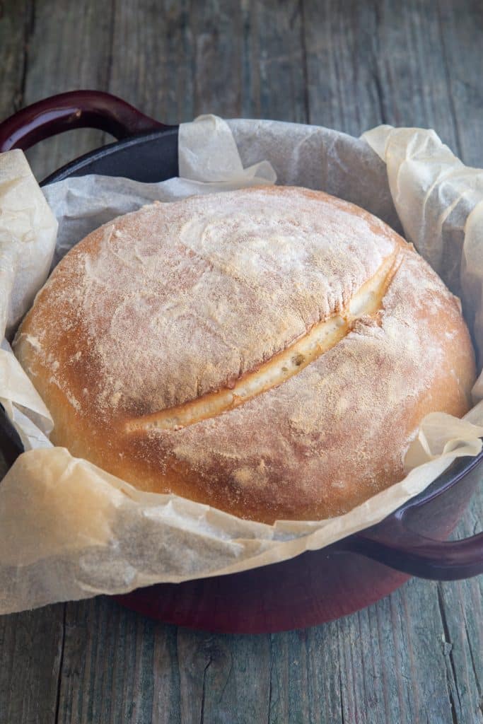 one hour bread in bread pot.