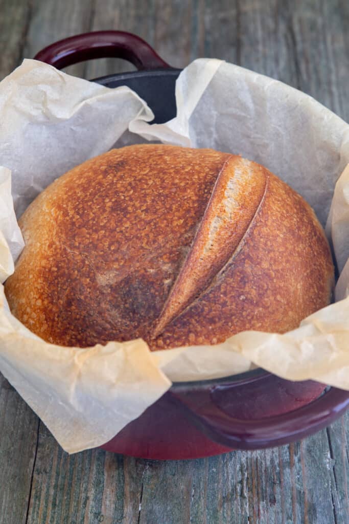 Whole wheat loaf in a dutch oven.
