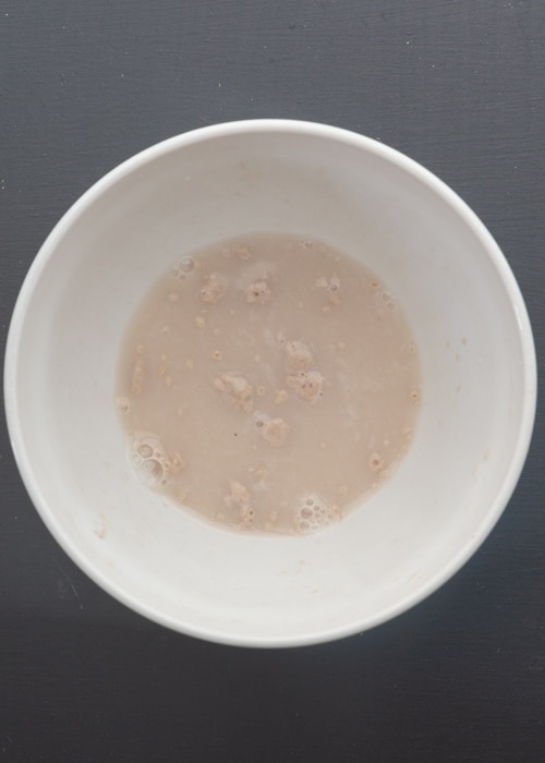 Yeast mixture in a white bowl.