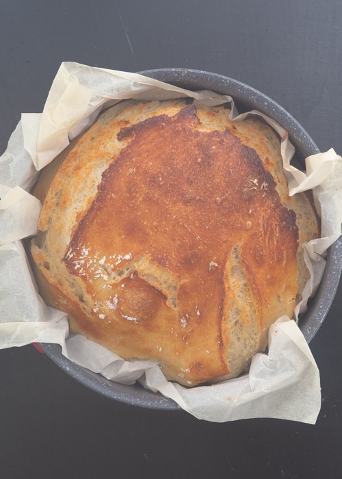 Baked no-knead sourdough bread in a pan.
