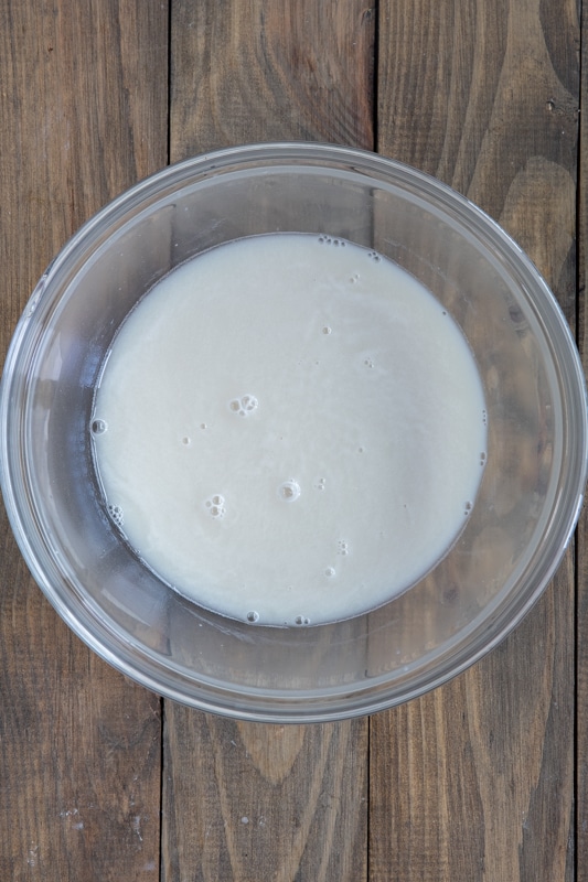 Yeast and water combined in a mixing bowl.