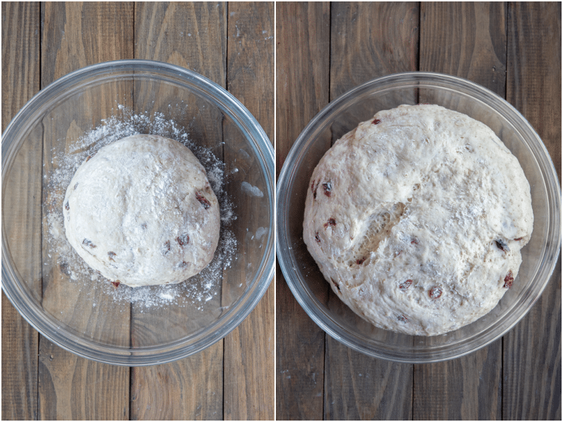 cranberry and oat bread made into a ball and left to double in size.