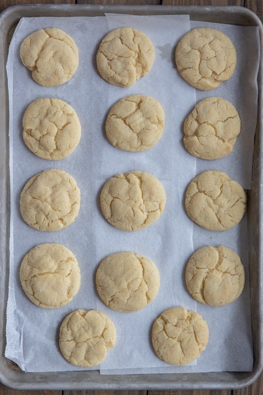 Baked vanilla sugar cookies on a baking sheet.
