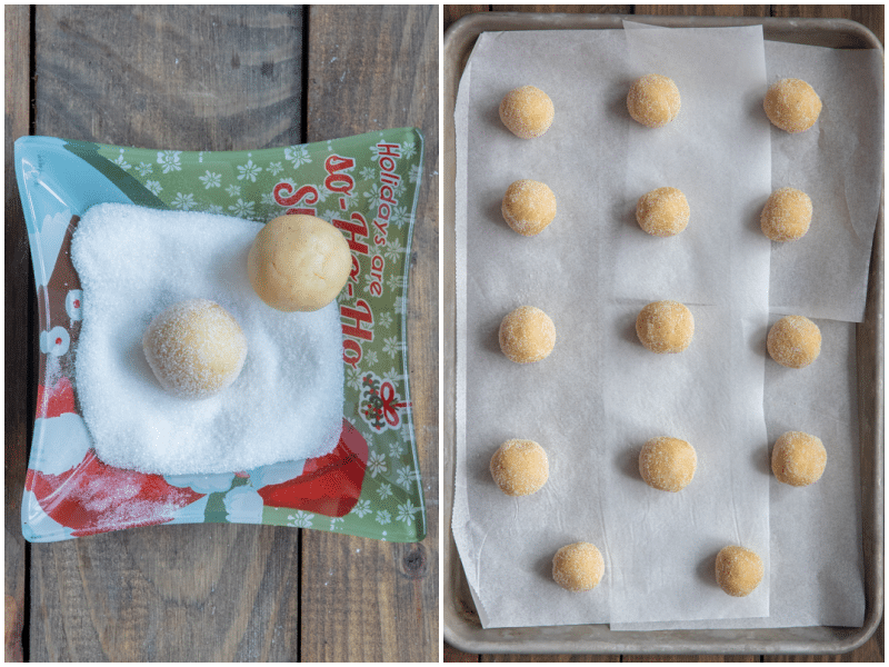 Dough made into balls and rolled in sugar and placed on a baking sheet.